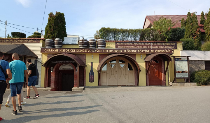 Aktuality / Návšteva vinárskeho regiónu Tokaj - foto