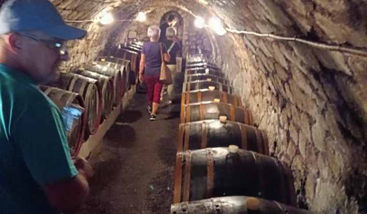 Aktuality / Návšteva vinárskeho regiónu Tokaj - foto