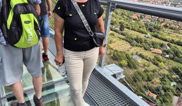 Aktuality / Návšteva vinárskeho regiónu Tokaj - foto